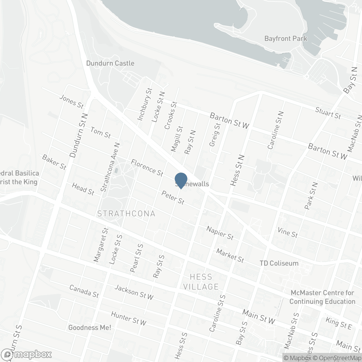 109 RAY Street, Hamilton, Ontario L8R 2Y1